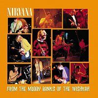 Nirvana From The Muddy Banks Of The Wishkah (Edice 2016) - 180 gr. Vinyl