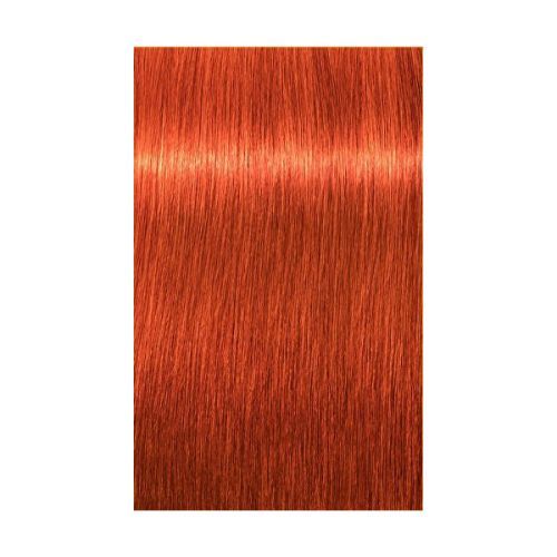Schwarzkopf Professional IGORA Expert Mousse barvicí pěna na vlasy odstín 8-77 Light Blond Extra Copper  100 ml Schwarzkopf Professional
