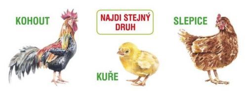 Najdi stejný druh, Leporelo