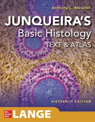 Junqueira's Basic Histology: Text and Atlas (Mescher Anthony L.)(Paperback)