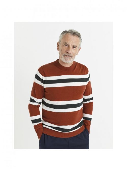 Svetr Veritable Celio