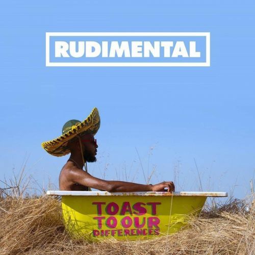 Toast To Our Differences (Rudimental) (Vinyl)