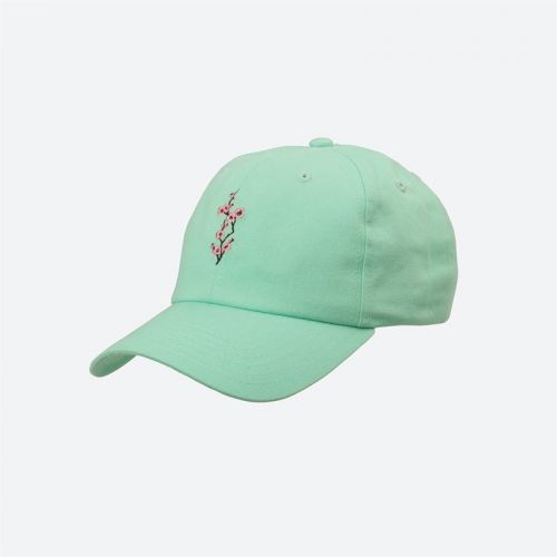 kšiltovka DGK -  Blossom Strapback Hat Light Green  (MULTI) velikost: OS