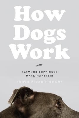 How Dogs Work (Coppinger Raymond)(Paperback / softback)