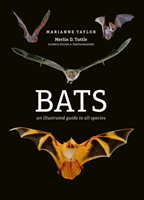 Bats - An illustrated guide to all species (Taylor Marianne)(Pevná vazba)