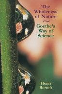 Wholeness of Nature - Goethe's Way of Science (Bortoft Henri)(Paperback)