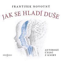 CD Jak se hladí duše - Novotný František;Anderle Jiří, Ostatní (neknižní zboží)
