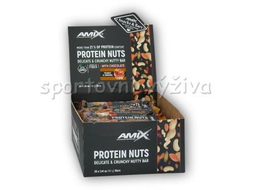 Amix 25x Protein Nuts Crunchy 40g