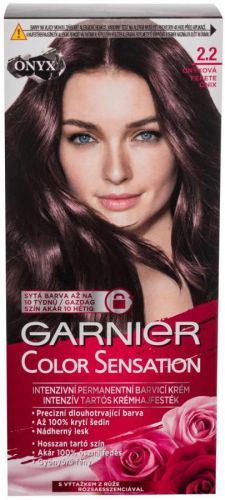 Garnier Color Sensation Permanentní barva 2.2 Onyxová 1ks