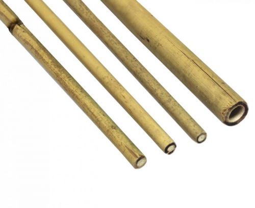 GARDEN LINE Tyč opěra k rostlinám bambus ¤14-16mm/150cm