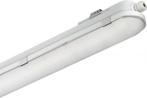 LED světlo do vlhkých prostor LED pevně vestavěné LED 29 W Philips Lighting CoreLine WT120C šedá