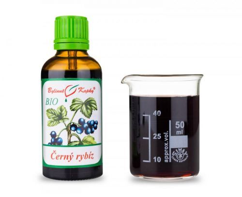 Černý rybíz BIO - bylinné kapky (tinktura) 50 ml