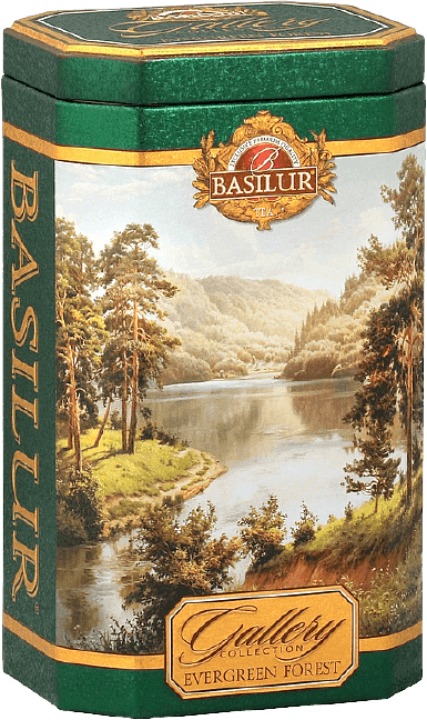 BASILUR Gallery Evergreen Forest plech 100g