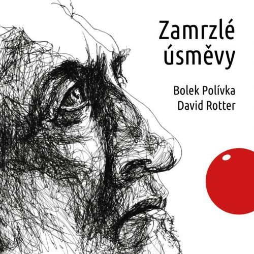 CD Zamrzlé úsměvy - audioknihovna - Rotter David