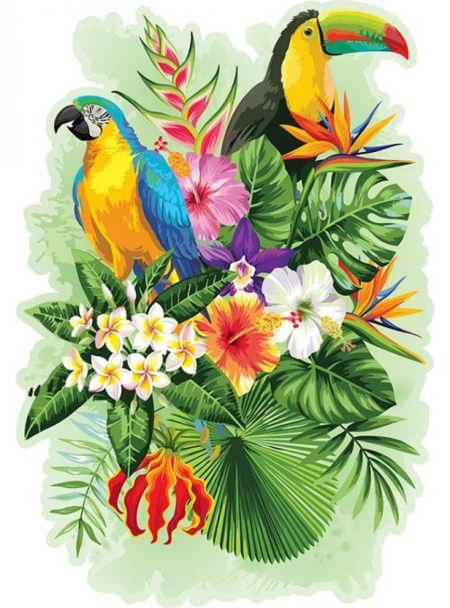 Puzzle Tropičtí ptáci, dřevěné, 300 dílků