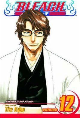 Bleach 12 (anglicky) - Kubo Tite