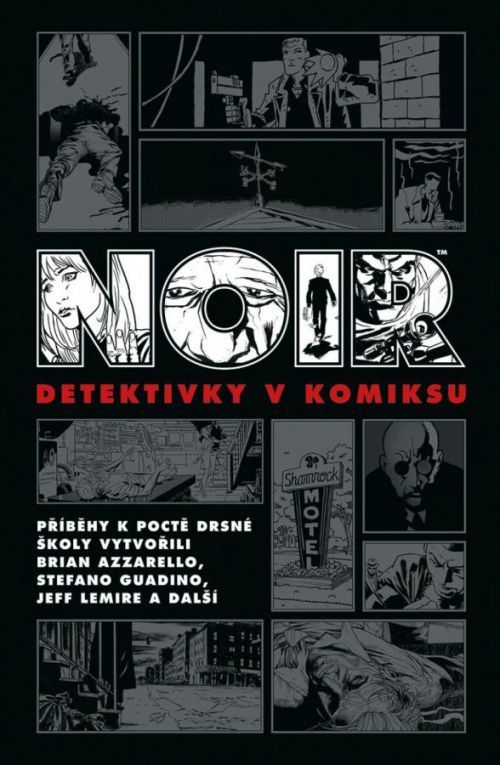Noir: Detektivky v komiksu - Brian Azzarello, Ed Brubaker, Jeff Lemire, Vázaná