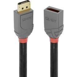 DisplayPort prodlužovací kabel LINDY [1x zástrčka DisplayPort - 1x zásuvka DisplayPort] antracitová, černá, červená 0.50 m