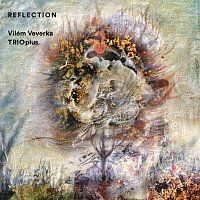 Vilém Veverka – Reflection MP3