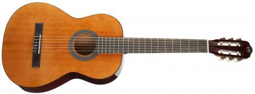 Tanglewood EM C3