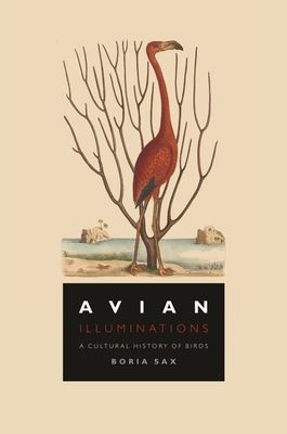 Avian Illuminations - A Cultural History of Birds (Sax Boria)(Pevná vazba)
