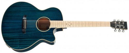 Tanglewood TW4 BLA