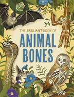 Brilliant Book of Animal Bones (Claybourne Anna)(Paperback / softback)