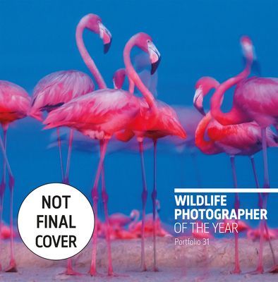 Wildlife Photographer of the Year - Portfolio 31(Pevná vazba)