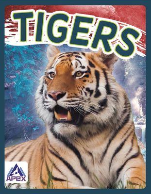 Wild Cats: Tigers (Geister-Jones Sophie)(Paperback / softback)