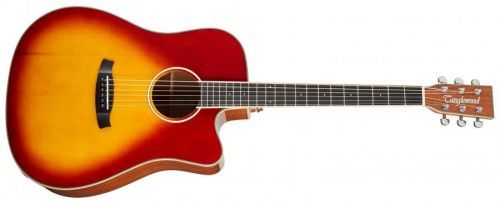 Tanglewood TW5 E SB