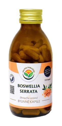Salvia Paradise Boswellia serrata - kadidlovník kapsle 120ks