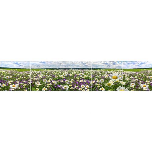 Skleněný panel 60/300 Flowers-3 5-Elem