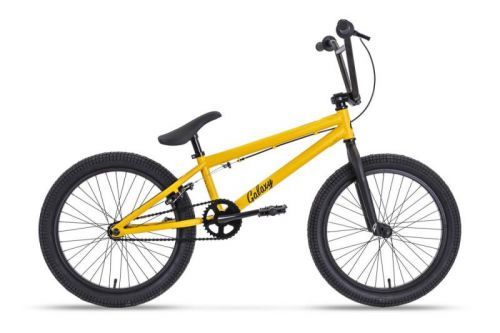 Galaxy 2021 Early Bird BMX 20