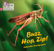 Buzz, Hop, Zip! - Phase 2 (Montgomerie Samantha)(Paperback / softback)