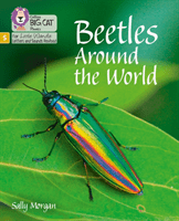Beetles Around the World - Phase 5 (Morgan Sally)(Paperback / softback)