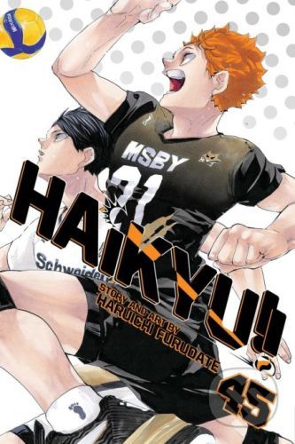 Haikyu!! 45 - Haruichi Furudate