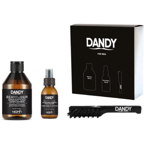 DANDY Beard gift box dárková sada