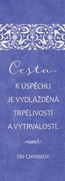 Plechová cedulka - Cesta k úspěchu je vydlážděná trpělivostí a vytrvalostí - Chinmoy Sri