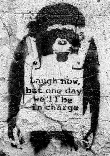 CLOSE UP Plakát, Obraz - Banksy street art - chimp, (42 x 59 cm)