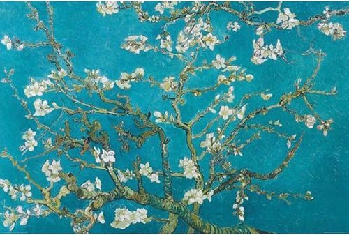 CLOSE UP Plakát, Obraz - Vincent Van Gogh - Almond Blossoms, (91.5 x 61 cm)