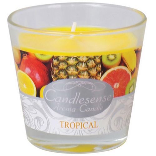Vonná svíčka 80/90ZS4627 Tropical