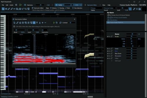 Hit'n'Mix RipX: DeepAudio (Digitální produkt)
