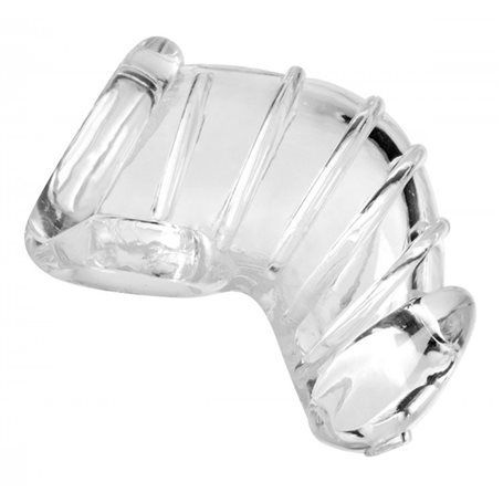 MASTER SERIES Detained Soft Body Chastity Cage Master Series