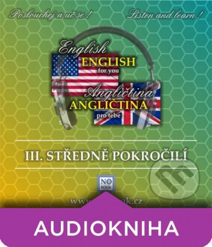 Angličtina pro tebe 3 - středně pokročilí - Richard Ludvík