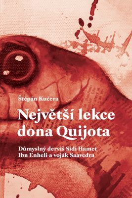 Největší lekce dona Quijota - Štěpán Kučera - e-kniha