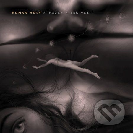 Roman Holý: Strážce klidu Vol. 1 LP - Roman Holý