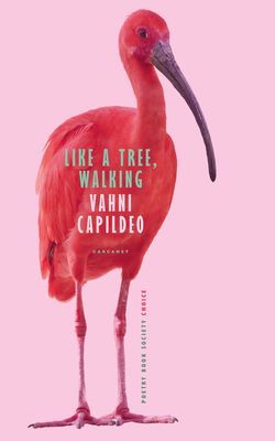 Like a Tree, Walking (Capildeo Vahni)(Paperback / softback)