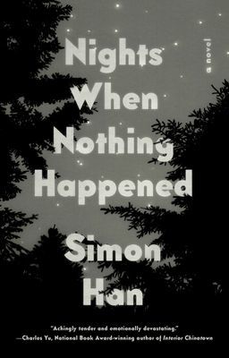 Nights When Nothing Happened - A Novel