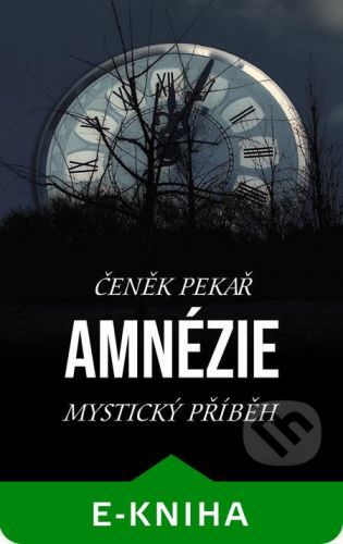 Amnézie - Čeněk Pekař