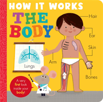 How it Works: The Body (Hepworth Amelia)(Board book)